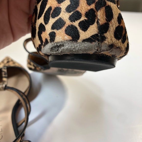 Sole Society Leopard Print Pointed Toe Flats 10 - Picture 6 of 8